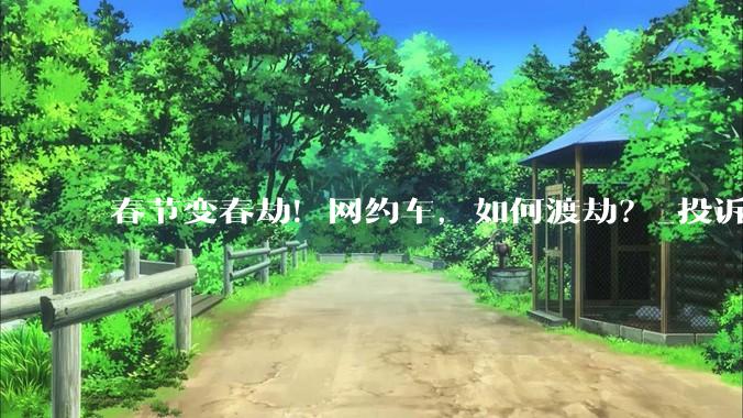 春节变春劫！网约车，如何渡劫？_投诉_平台_进行